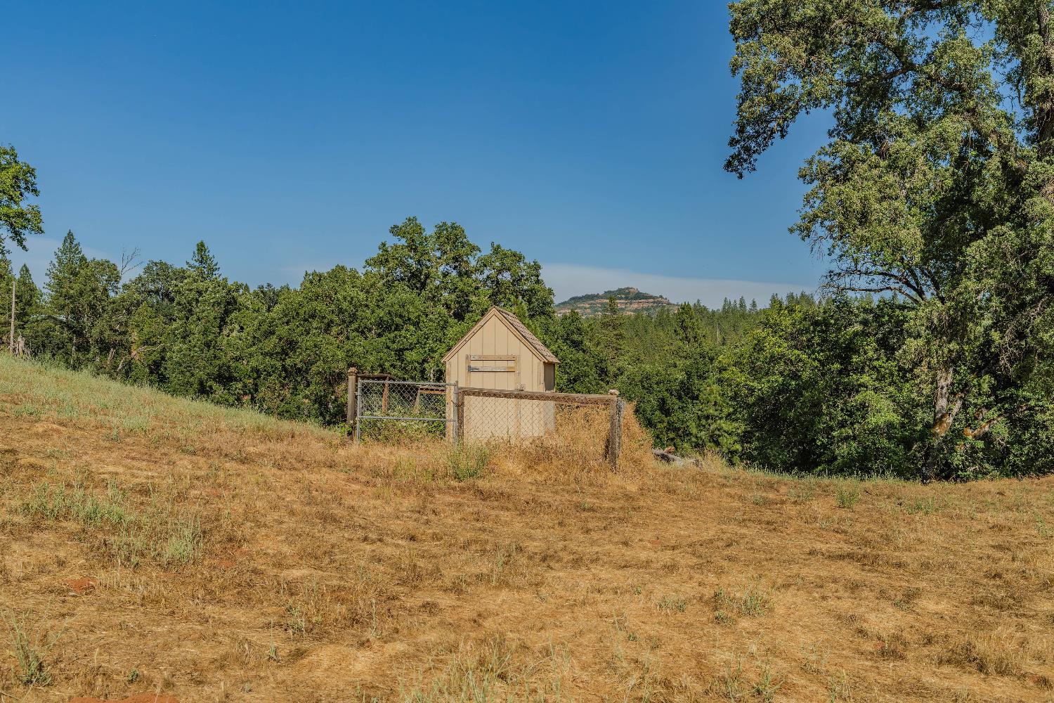 8133 Old Emigrant Trail East Mountain Ranch, CA 95246 - Photo 24 of 42