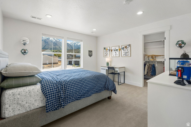 686 West Eaglecrest Circle Elk Ridge, UT 84651 - Photo 38 of 50