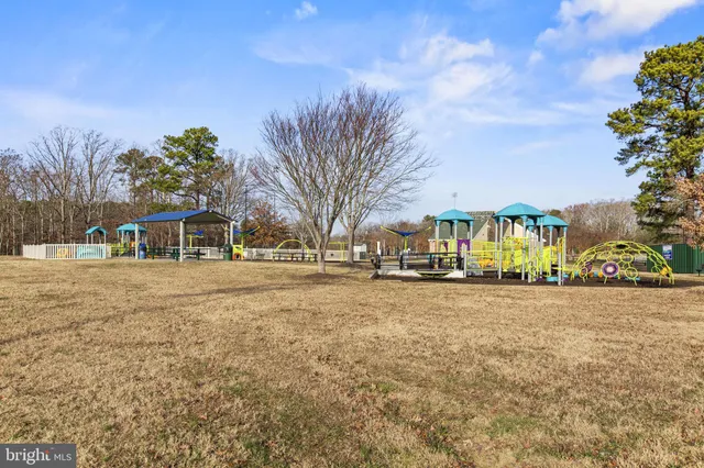 a view of a park with large trees