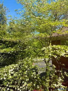 $589,000 | 3140 Archdale Road, Richmond, VA 23235