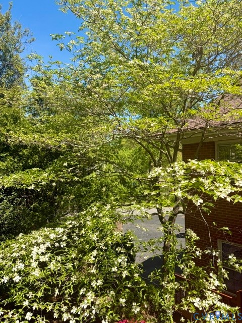 3140 Archdale Road Richmond, VA 23235 - Photo 10 of 10