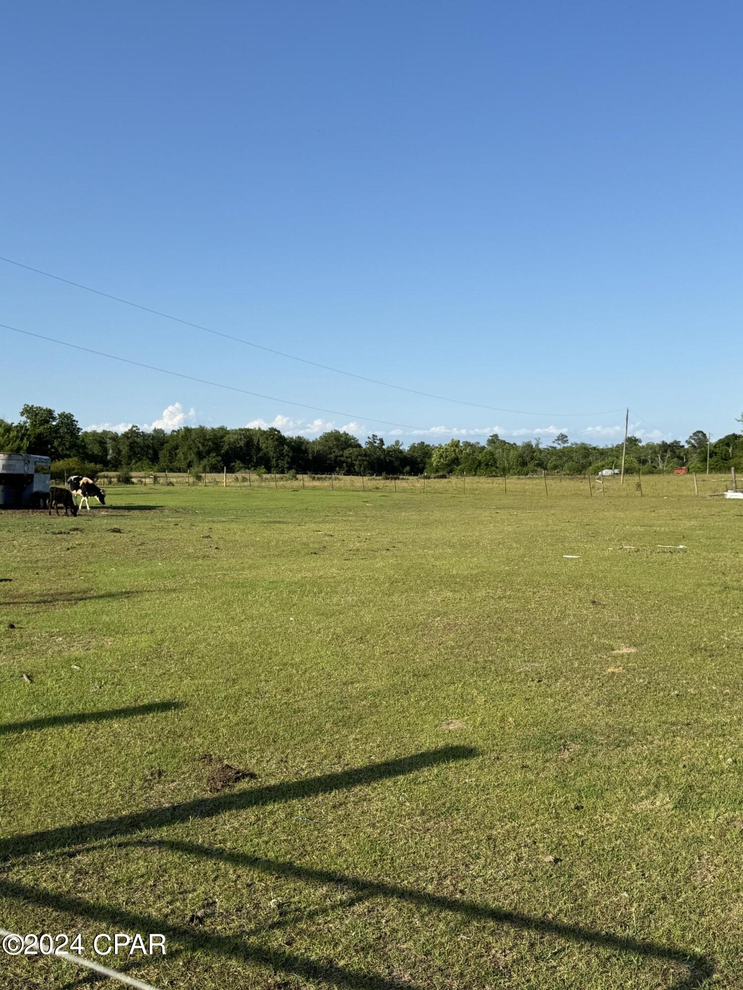 2252 Holley Timber Road Cottondale, FL 32431 - Photo 2 of 7