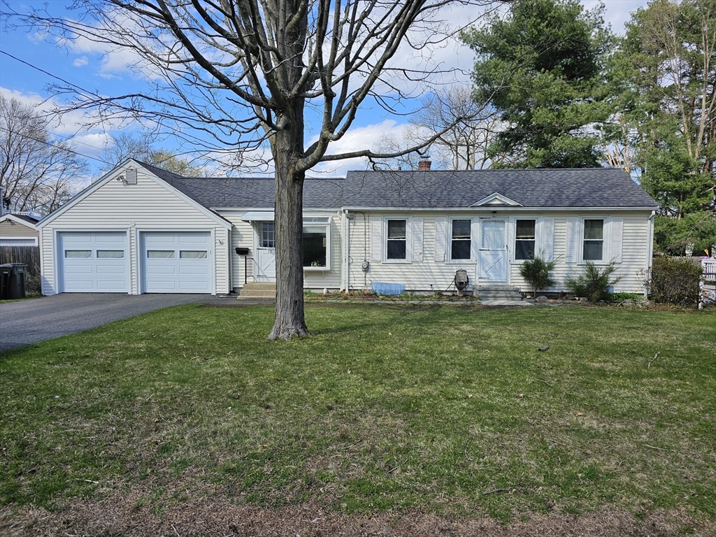 a front view of house with yard and green space