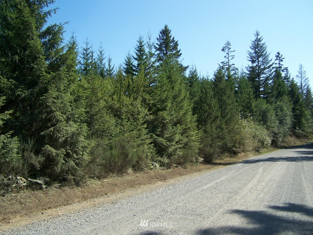 13 Shetland Road Shelton, WA 98584 - Photo 1 of 3 Gallery Image 1