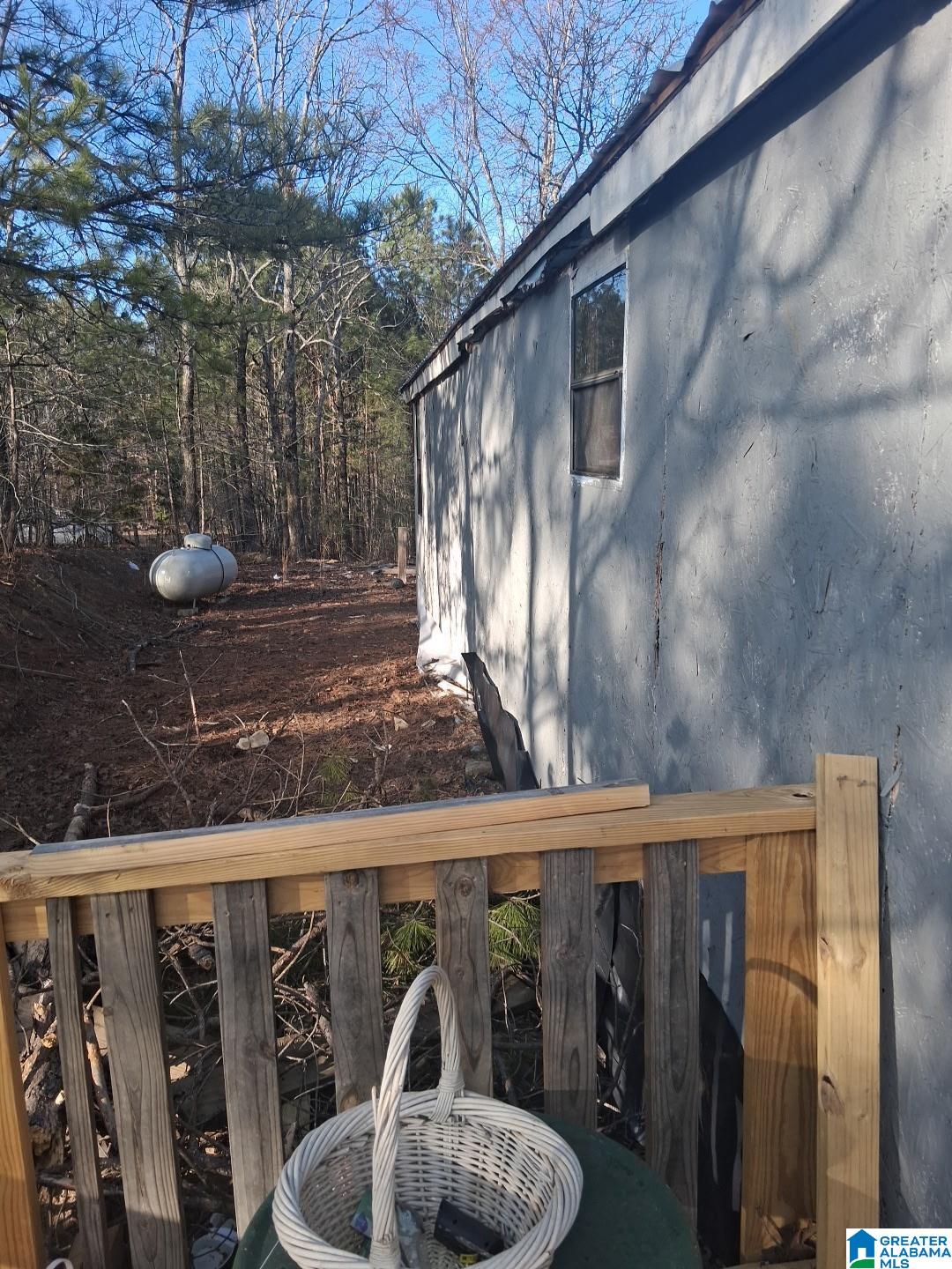 393 Siler Road Piedmont, AL 36272 - Photo 10 of 14