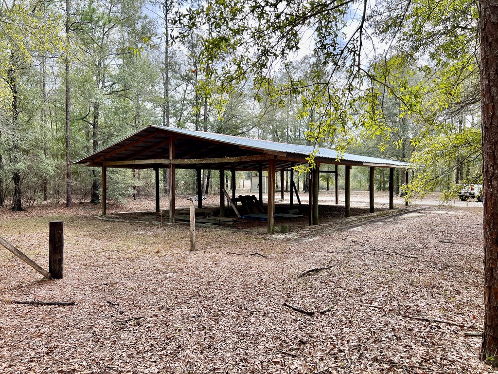 16.8-ac Mound Road Black, AL 36314 - Photo 11 of 17
