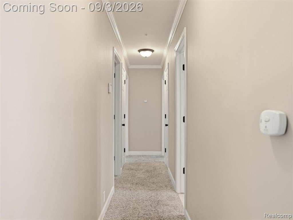 72695 Van Dyke Road Romeo, MI 48065 - Photo 24 of 47 Gallery Image 24