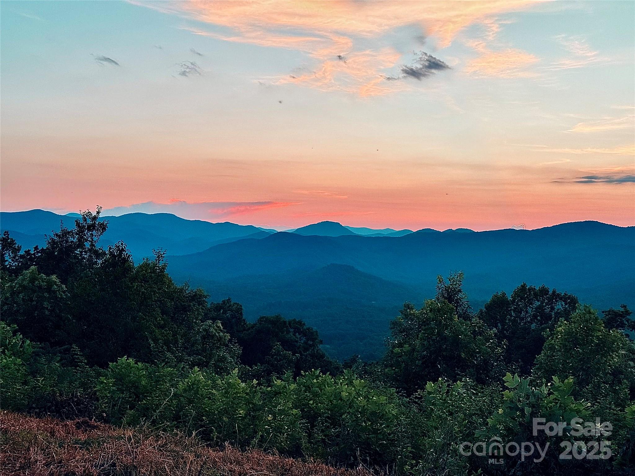 0 The Fls Road Union Mills, NC 28167 - Photo 15 of 38