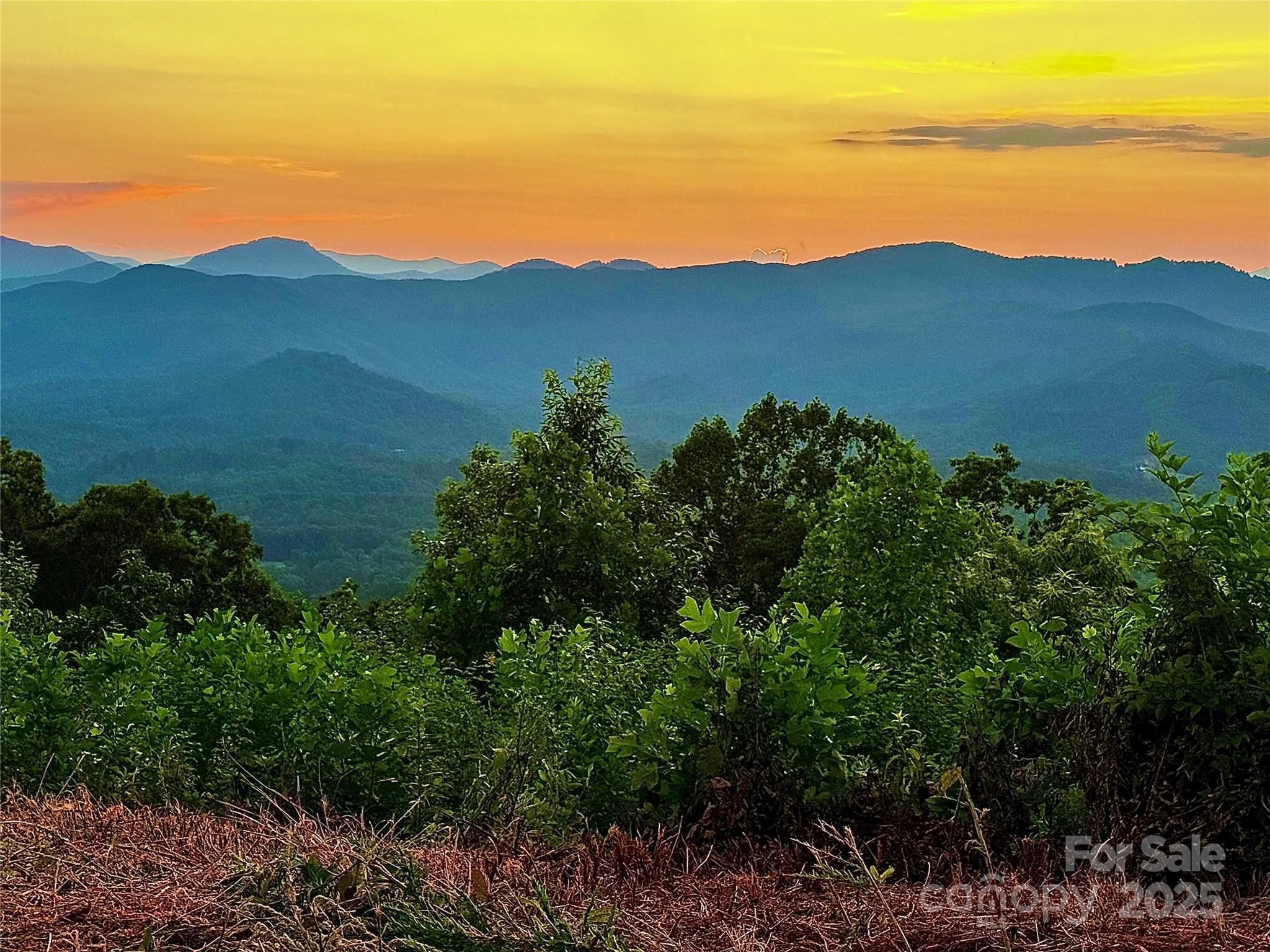 0 The Fls Road Union Mills, NC 28167 - Photo 19 of 38
