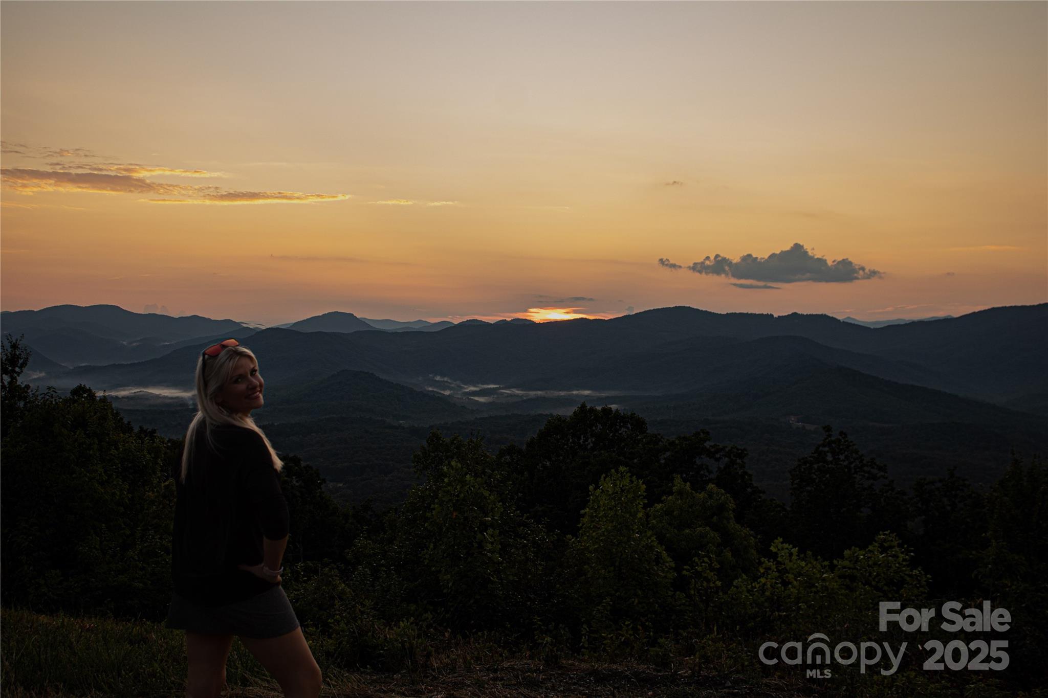 0 The Fls Road Union Mills, NC 28167 - Photo 30 of 38