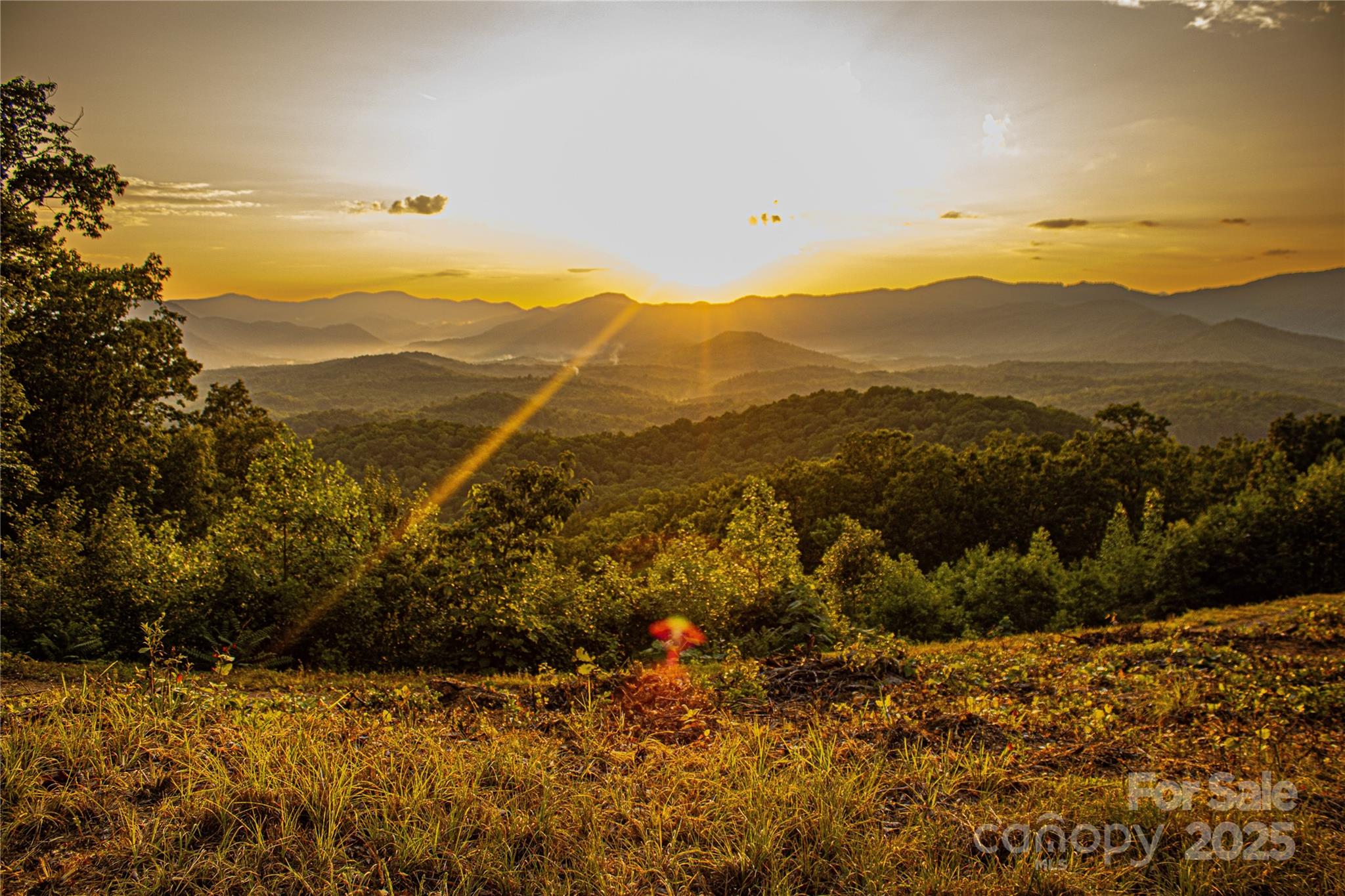 0 The Fls Road Union Mills, NC 28167 - Photo 4 of 38