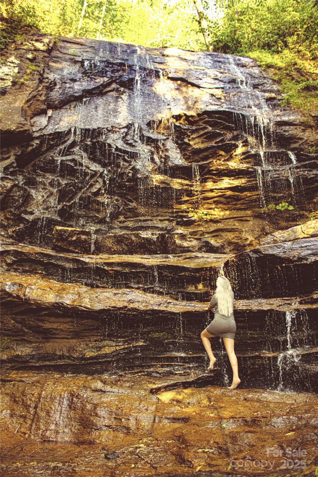 0 The Fls Road Union Mills, NC 28167 - Photo 8 of 38