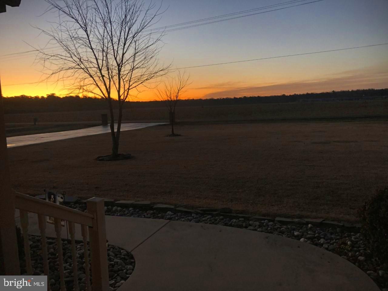 14515 Trap Pond Road Laurel, DE 19956 - Photo 12 of 47 Front porch sunrise view