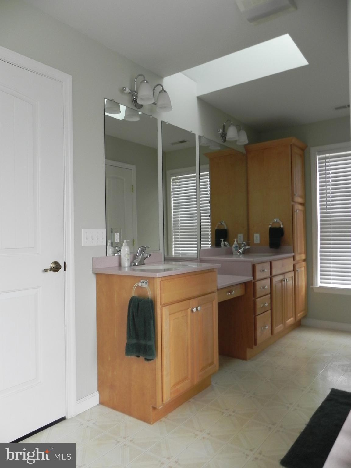 14515 Trap Pond Road Laurel, DE 19956 - Photo 31 of 47 Master bath