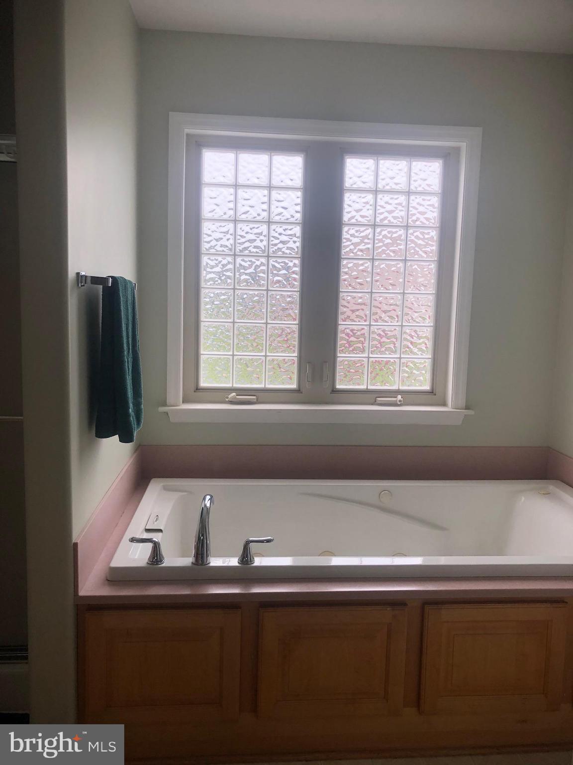 14515 Trap Pond Road Laurel, DE 19956 - Photo 33 of 47 Master bath - soaking jet tub