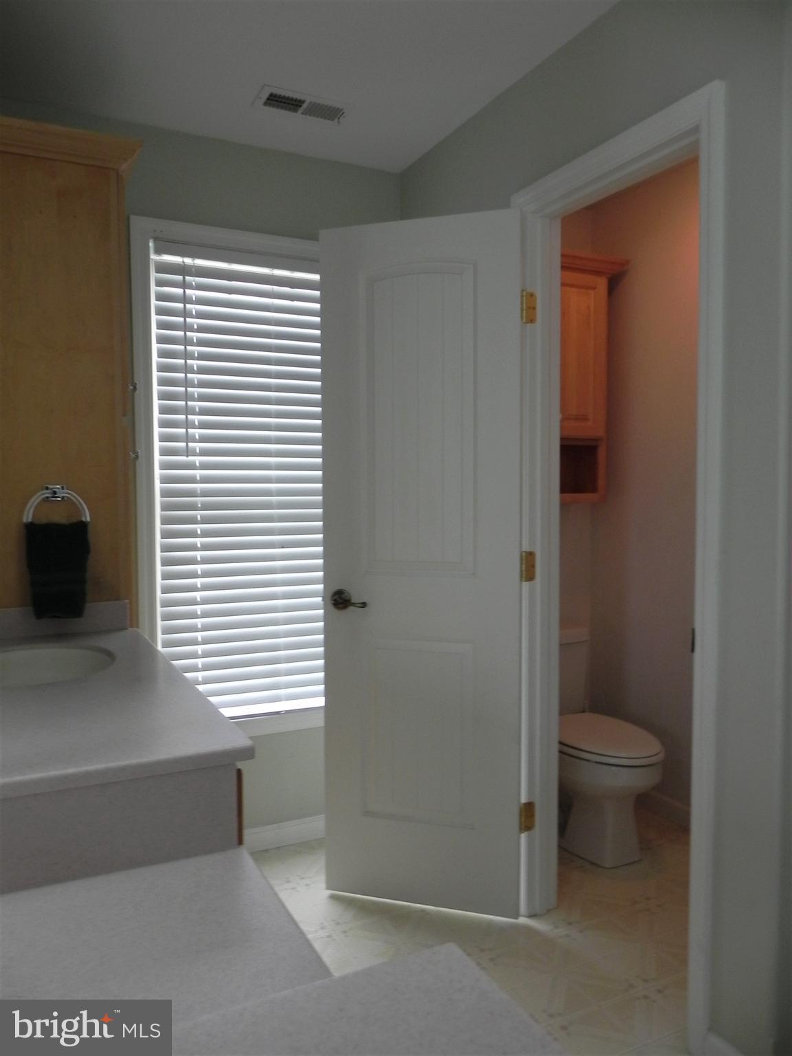 14515 Trap Pond Road Laurel, DE 19956 - Photo 34 of 47 Master bath water closet
