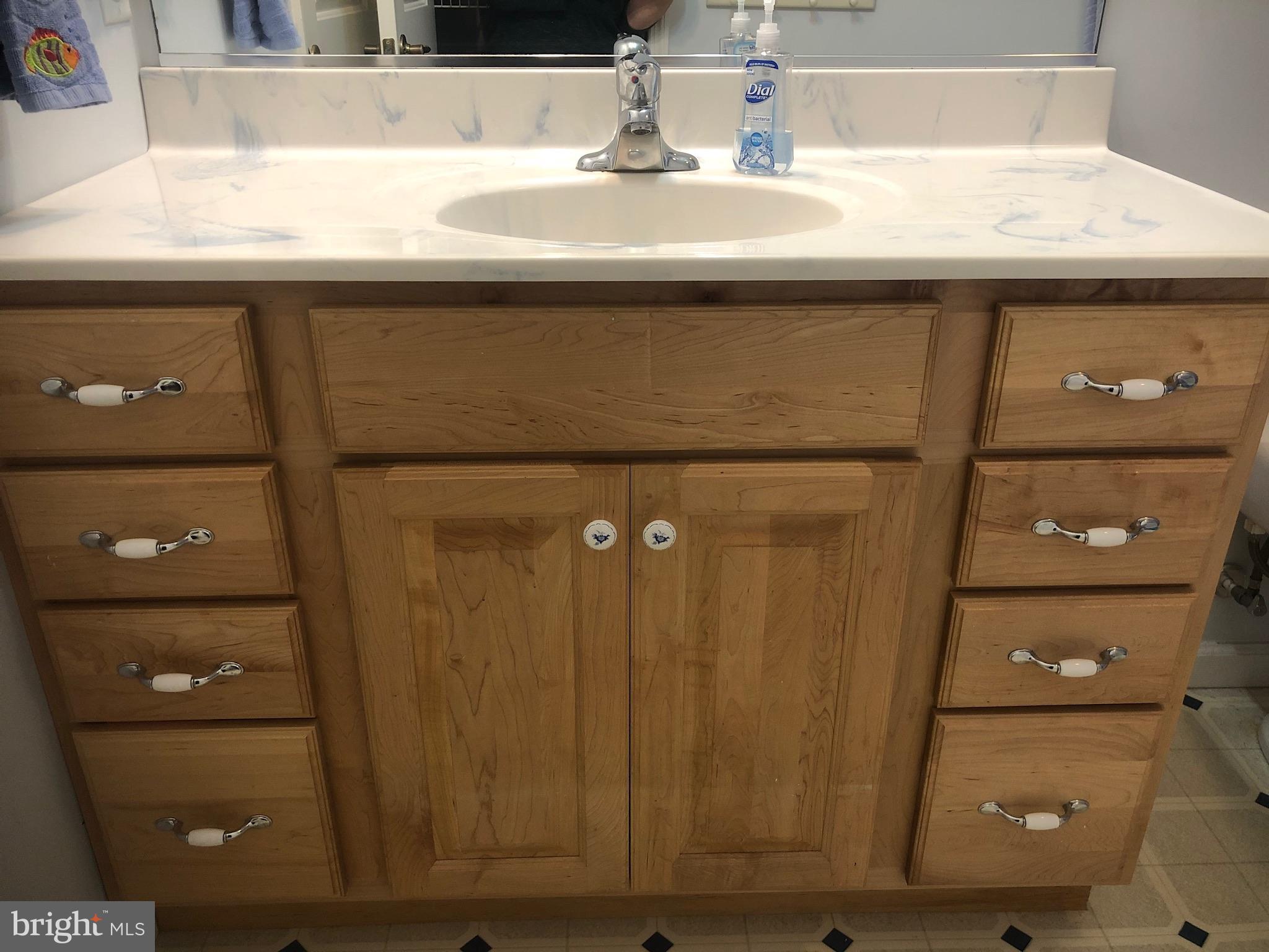 14515 Trap Pond Road Laurel, DE 19956 - Photo 39 of 47 Guest bath vanity