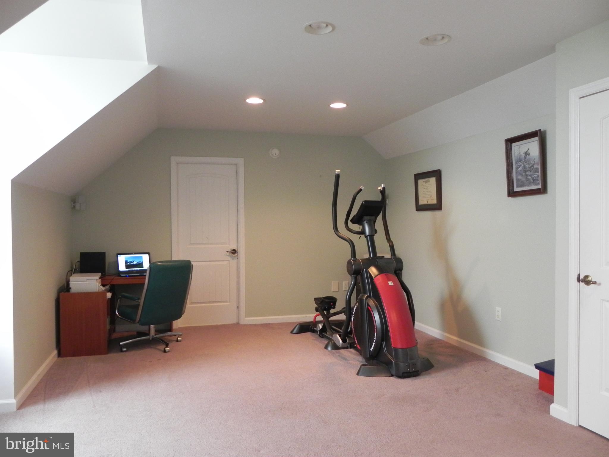 14515 Trap Pond Road Laurel, DE 19956 - Photo 40 of 47 Bonus room with walk in attic access
