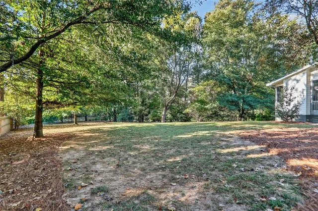 a view of a yard with a tree