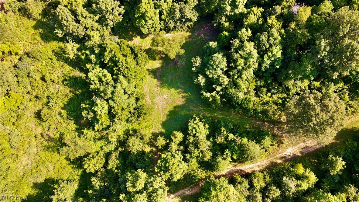 55234 North Star Road Pleasant City, OH 43772 - Photo 14 of 35