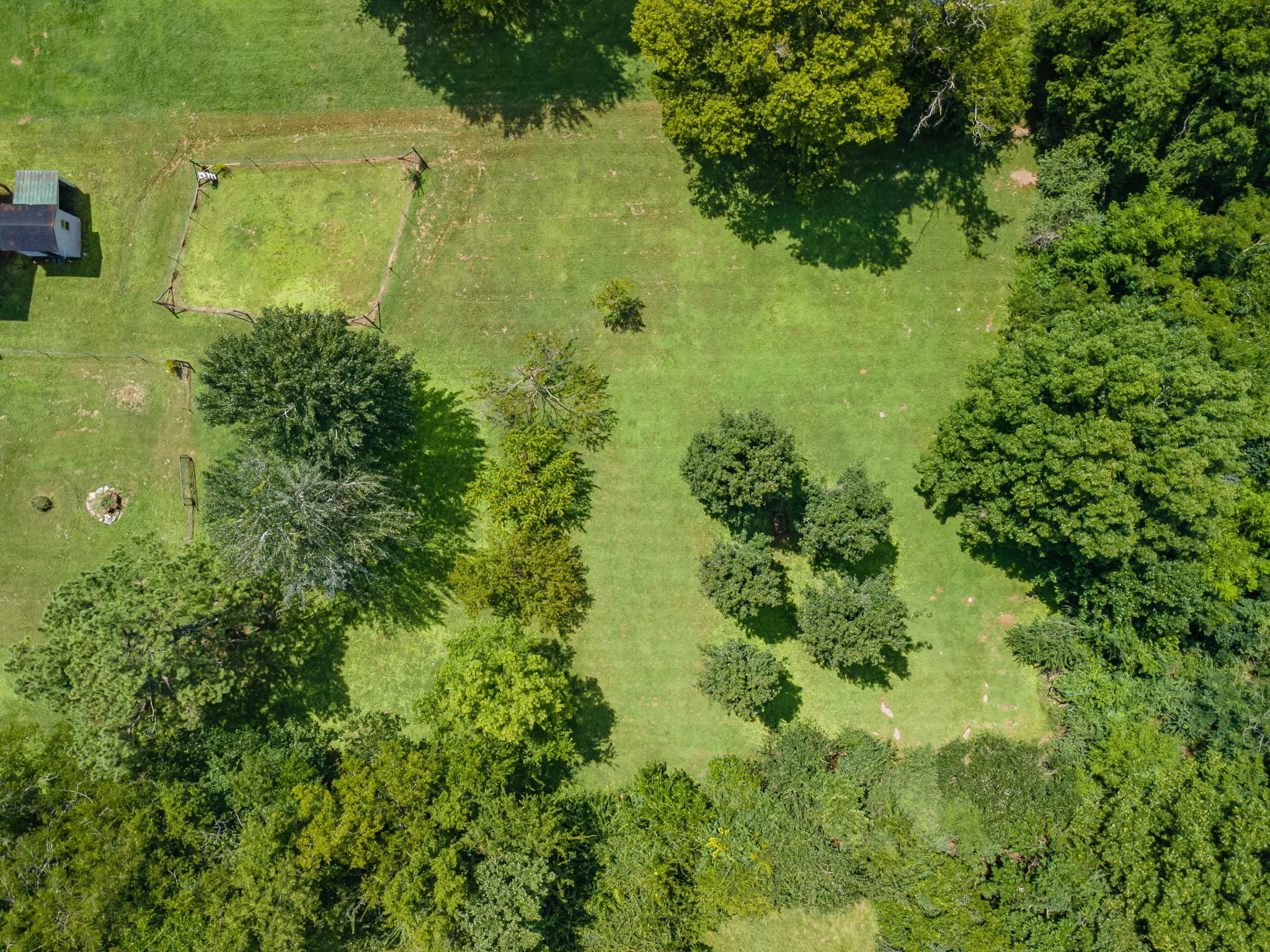 330 Holly Grove Road Lewisburg, TN 37091 - Photo 72 of 84