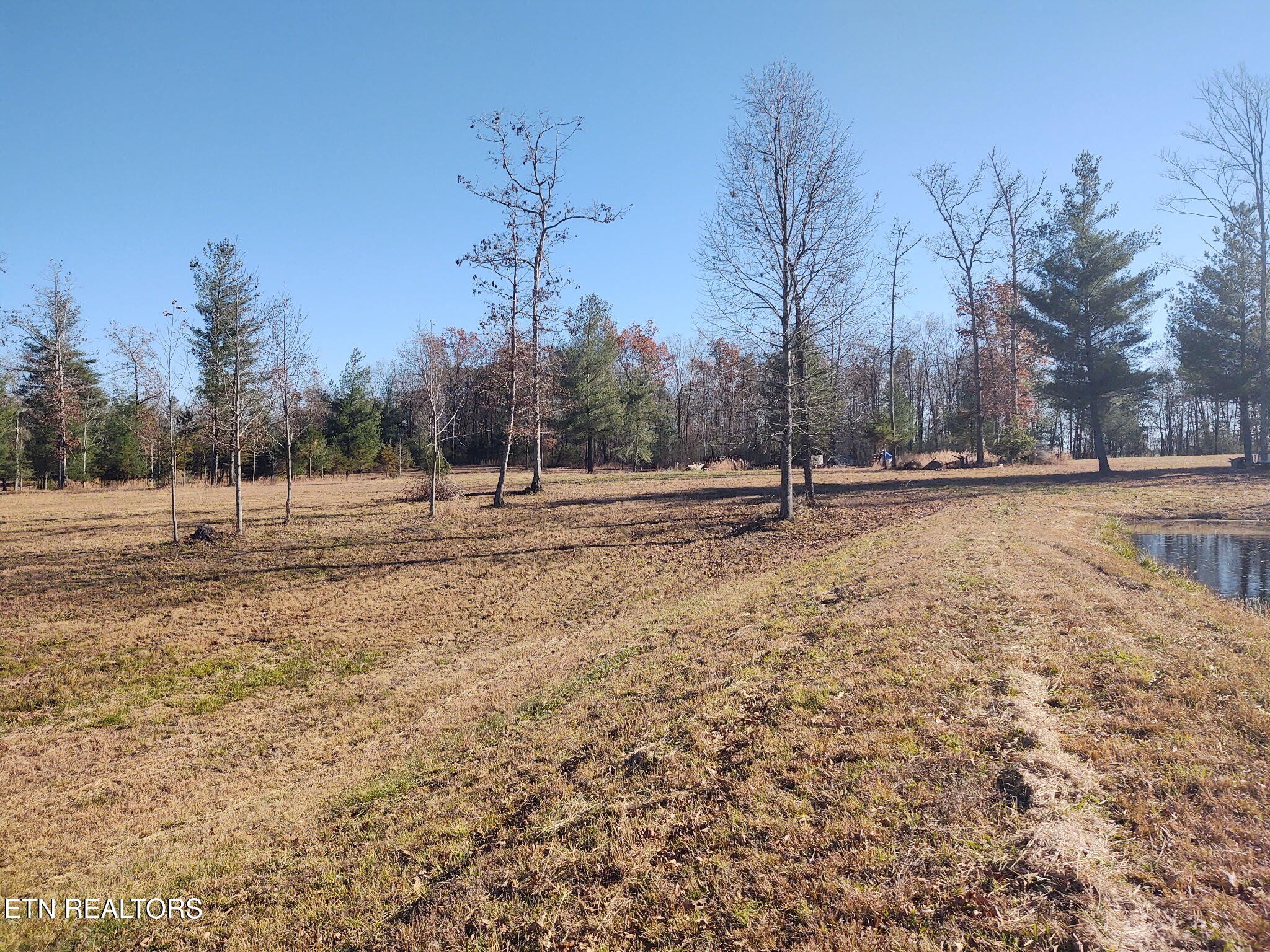 1241 Twin Bridge Road Deer Lodge, TN 37726 - Photo 26 of 35 Gallery Image 26