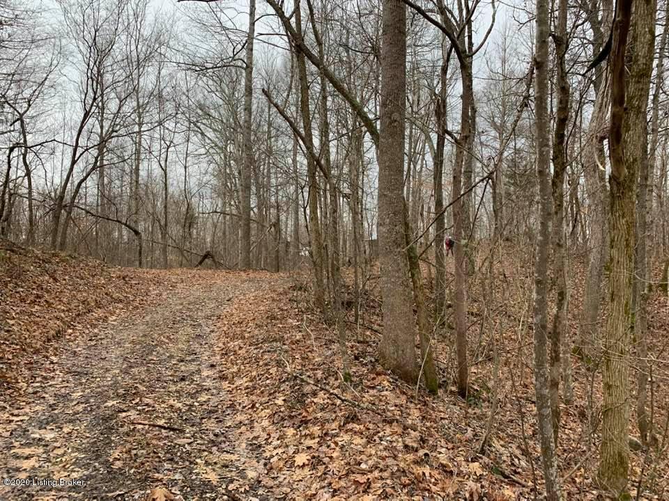 1829 Talley Oak Hill Road Upton, KY 42784 - Photo 10 of 21 talley oak-1