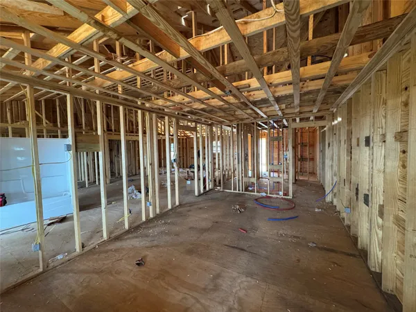 a view of a park with large trees