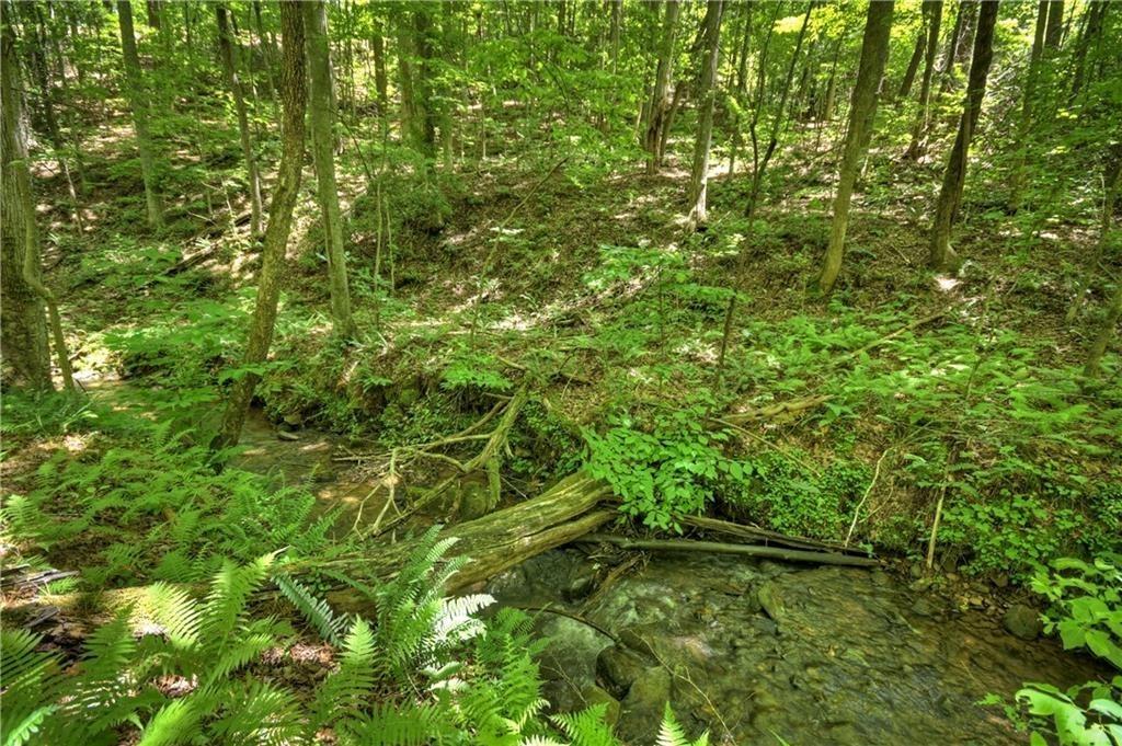 276 Pine Ridge Road Ellijay, GA 30536 - Photo 11 of 55