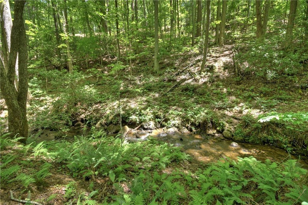 276 Pine Ridge Road Ellijay, GA 30536 - Photo 12 of 55