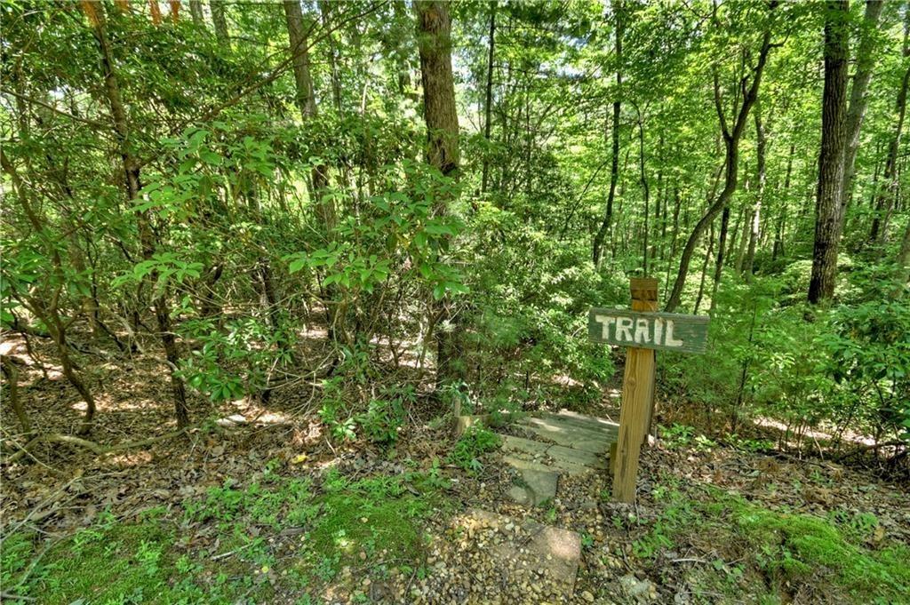 276 Pine Ridge Road Ellijay, GA 30536 - Photo 13 of 55