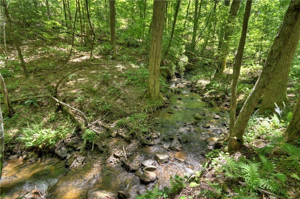 276 Pine Ridge Road Ellijay, GA 30536 - Photo 9 of 55