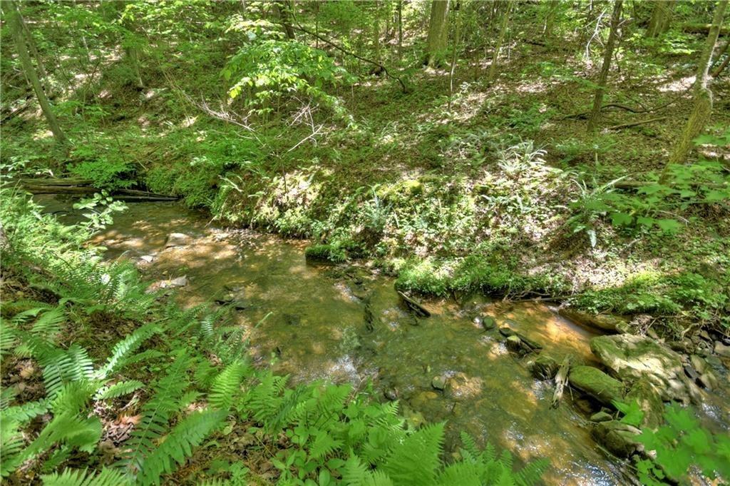 276 Pine Ridge Road Ellijay, GA 30536 - Photo 10 of 55