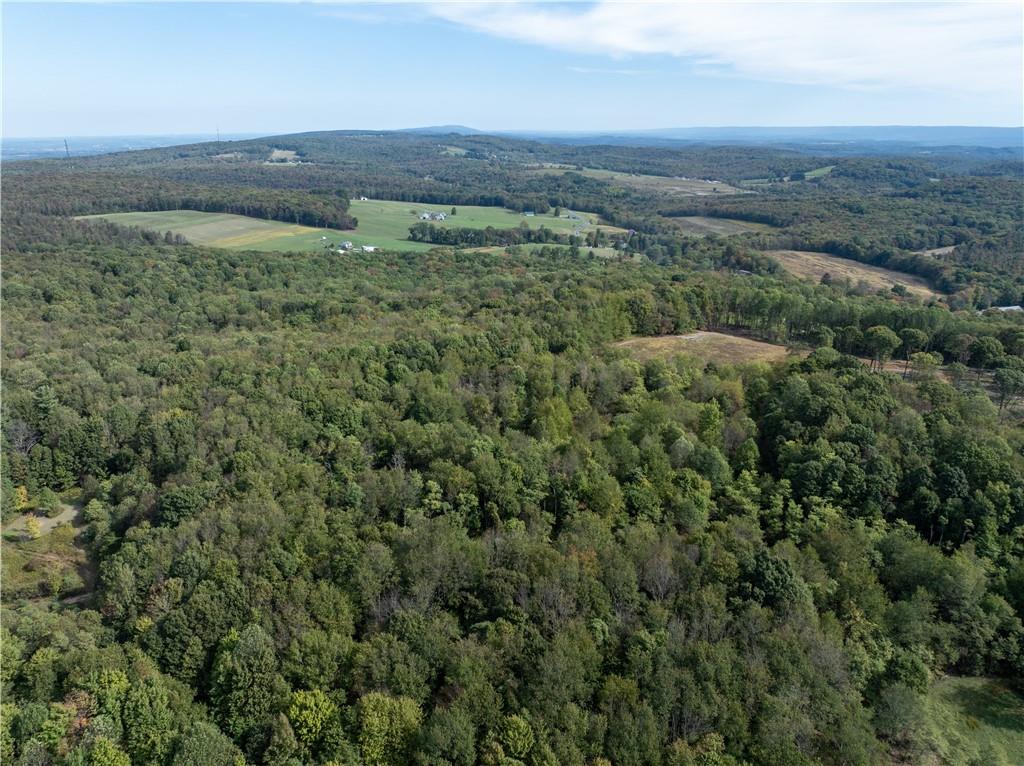 0 Plank Road Acme, PA 15610 - Photo 2 of 6 an aerial view of a houses with a lush green forest