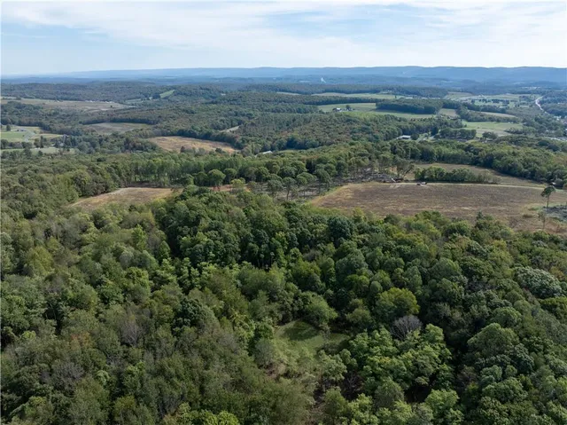 an aerial view of forest