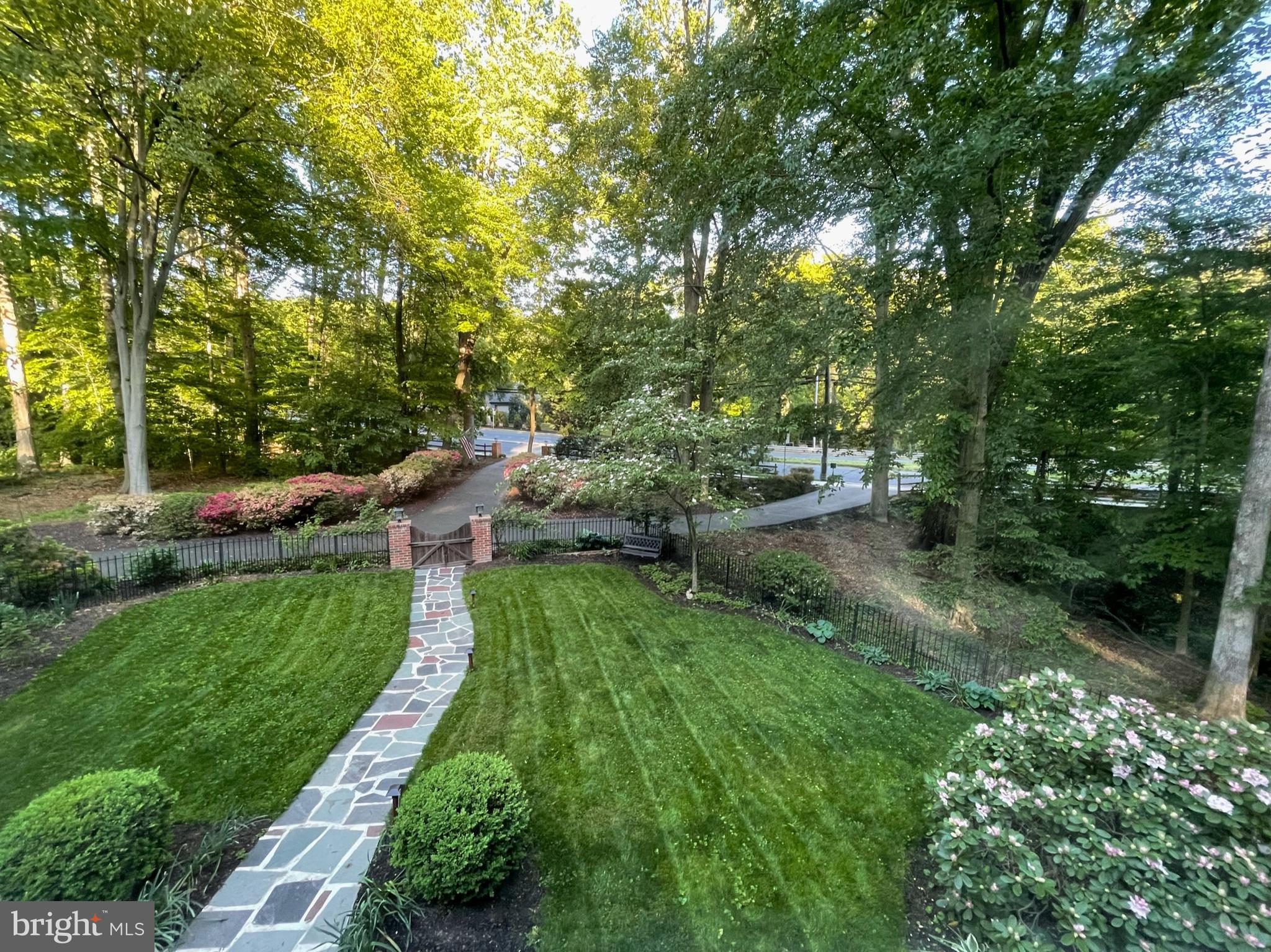 Mature forest preservation with certified arborist