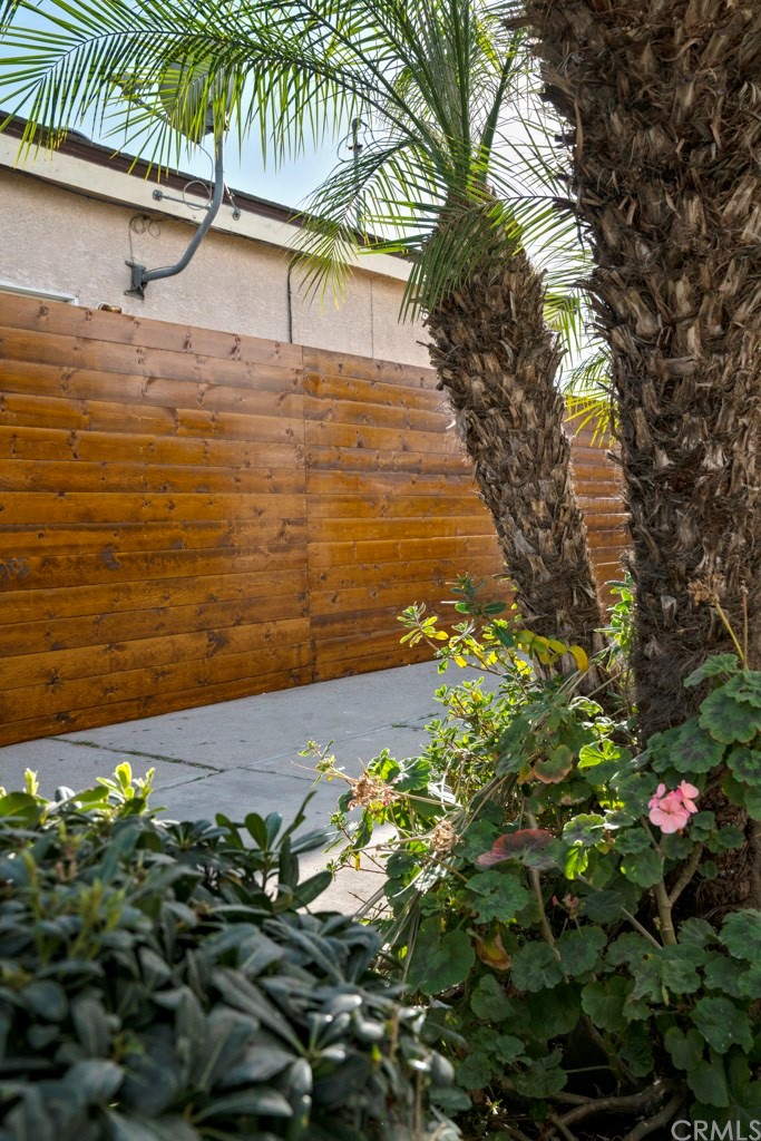 1202 Mahanna Avenue Long Beach, CA 90813 - Photo 3 of 32 a picture of flowers