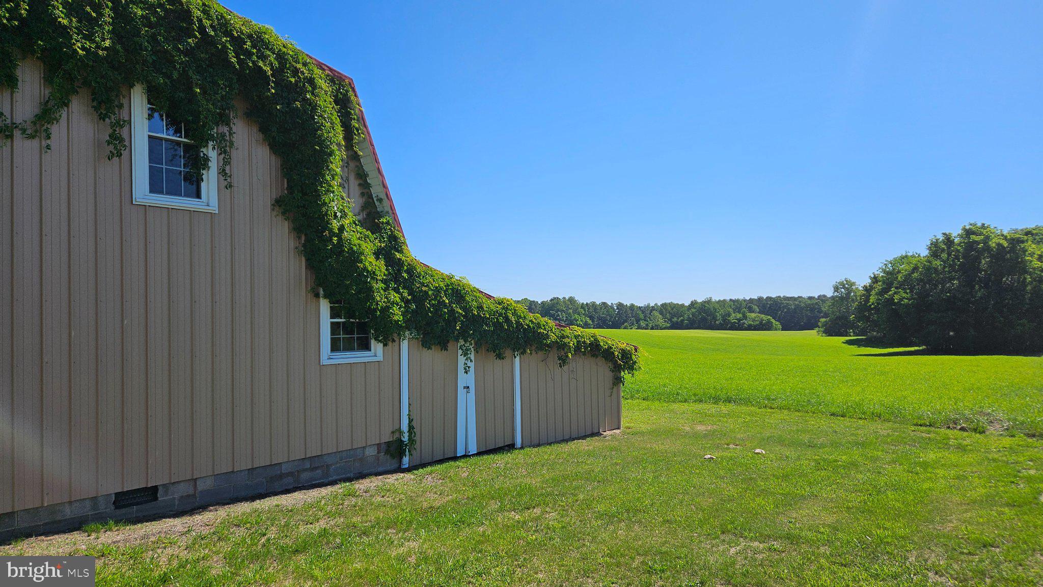 1440 Holly Farm Road Burkeville, VA 23922 - Photo 52 of 52 a view of a house with a yard