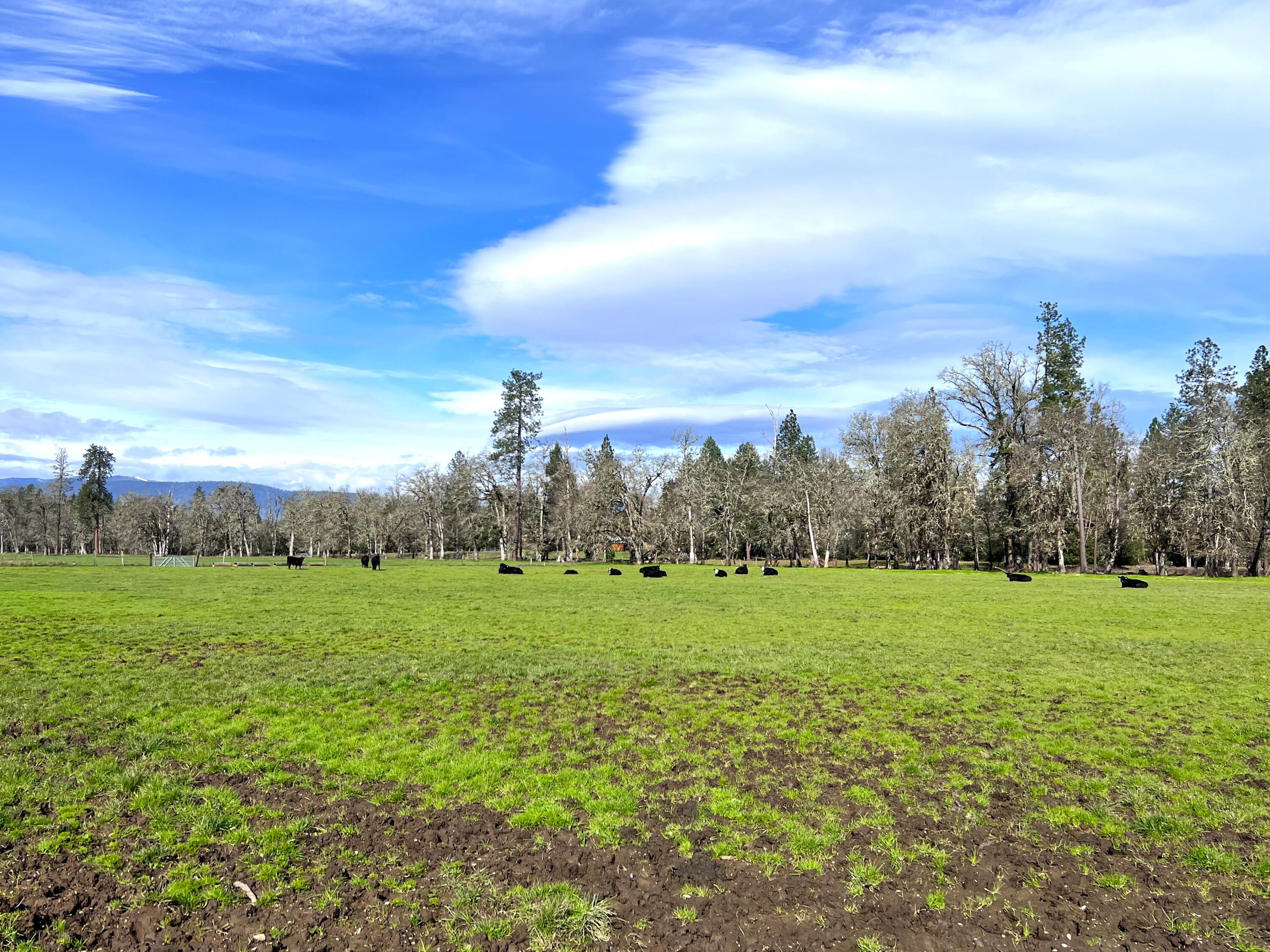 620 Dick George Road Cave Junction, OR 97523 - Photo 62 of 123 15