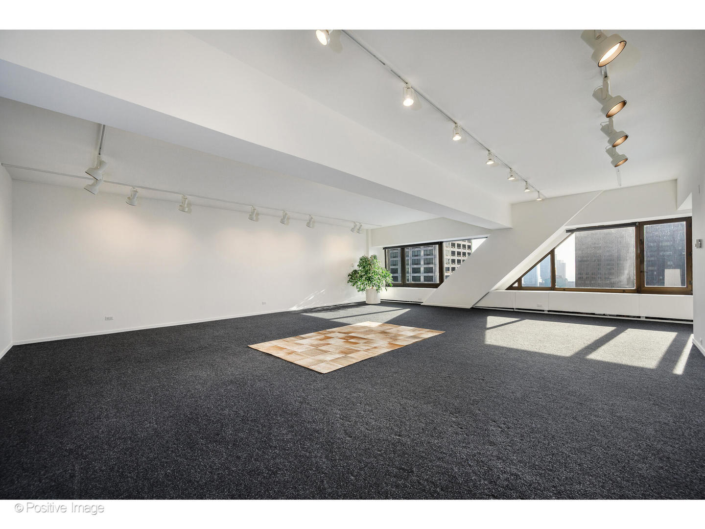 175 East Delaware Place, Unit 5123 Chicago, IL 60611 - Photo 4 of 21