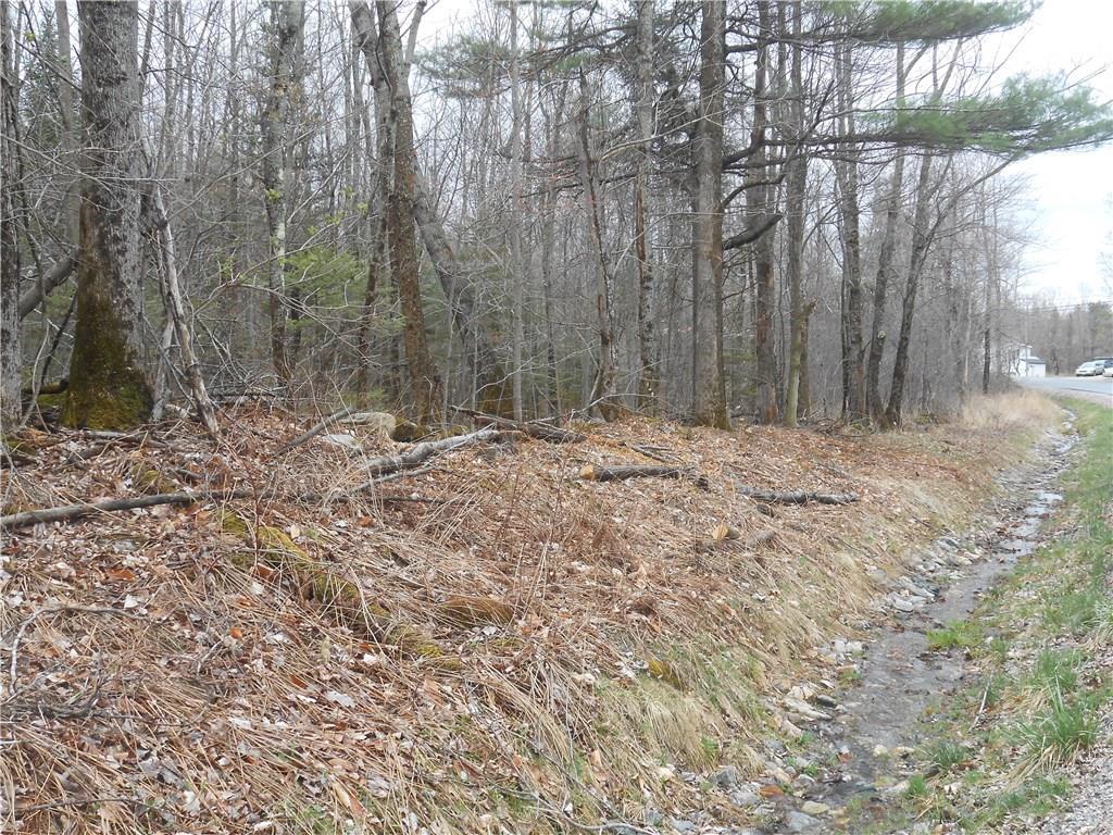 5 Ryerson Hill Road Paris, ME 04281 - Photo 4 of 7 Road frontage.