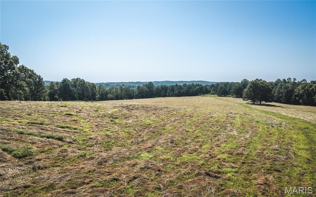 7 Private Drive Ava, MO 65608 - Photo 12 of 14