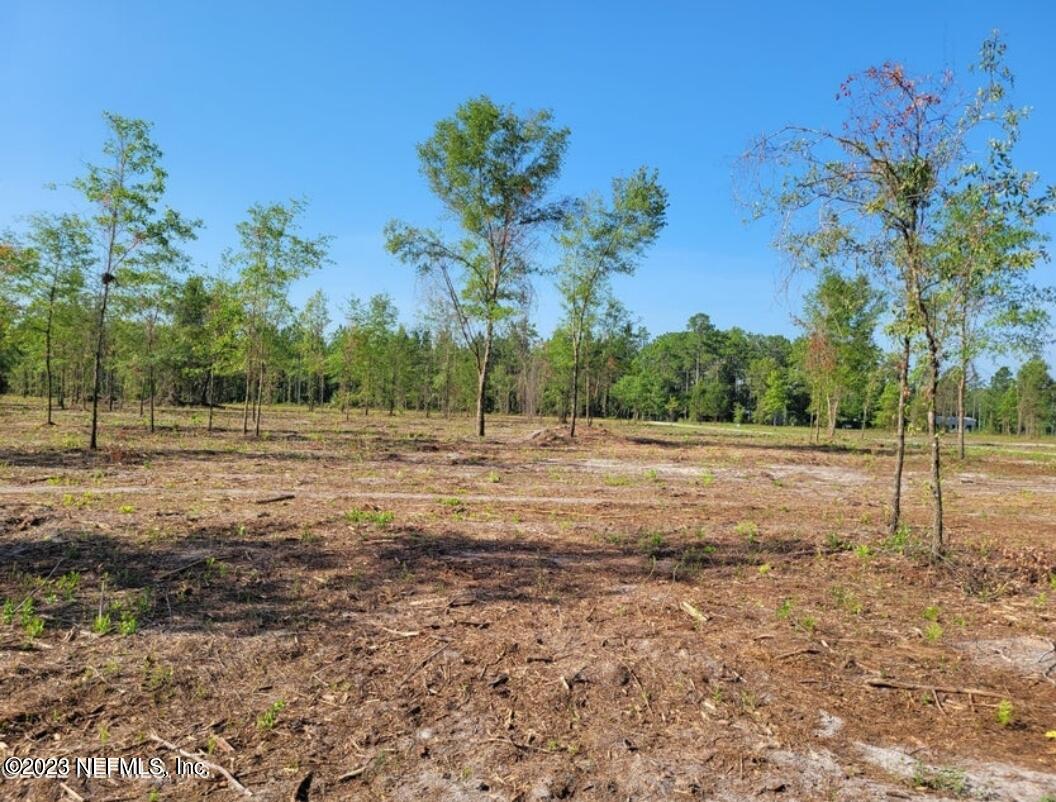 36150 Wagon Train Way Hilliard, FL 32046 - Photo 1 of 4 a view of a field with plants