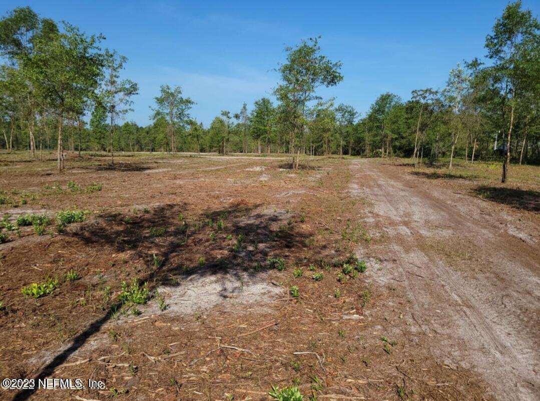 36150 Wagon Train Way Hilliard, FL 32046 - Photo 4 of 4 a view of a field with trees