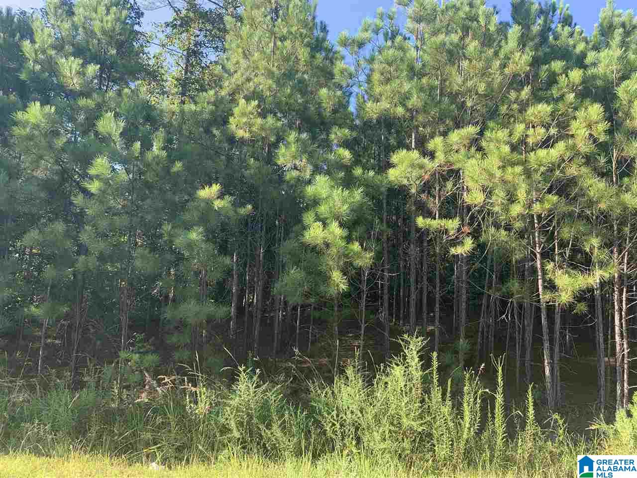 Mckesie Street, Unit 40 Riverside, AL 35135 - Photo 5 of 24