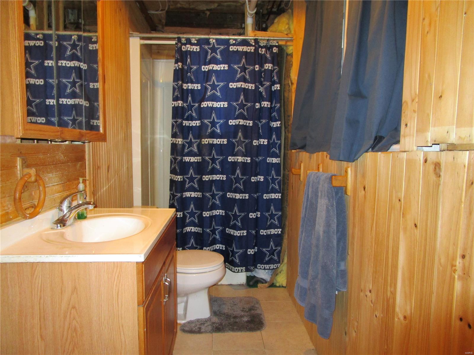606 South Ridge Avenue Steeleville, IL 62288 - Photo 33 of 42 Gallery Image 33
