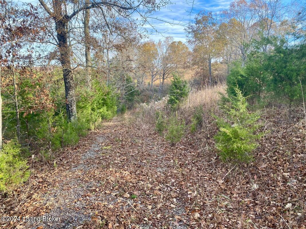 0 Hornback Road Millwood, KY 42762 - Photo 9 of 21 0 Hornback Rd 2