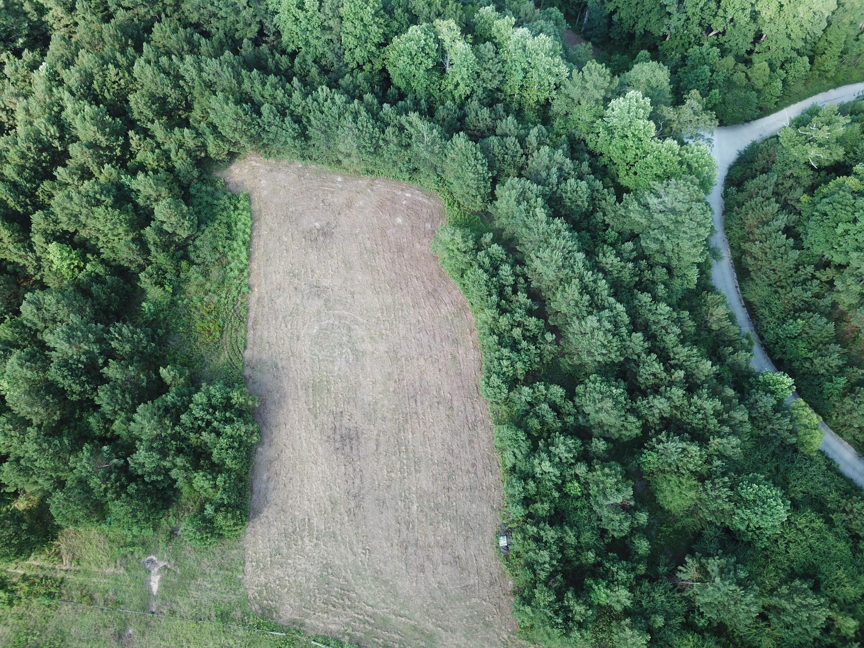 Lot 38-39 The Ridge Arley, AL 35540 - Photo 17 of 40 Gallery Image 17