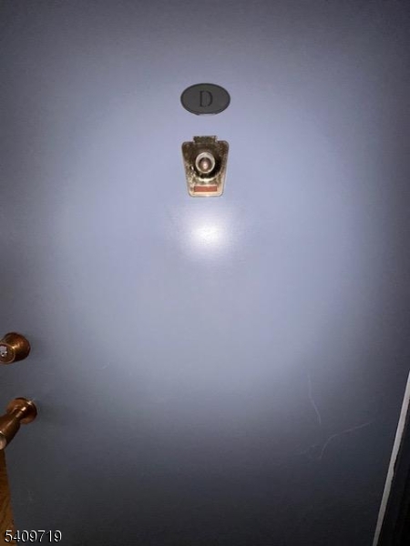 77 Prospect Avenue, Unit D Hackensack, NJ 07601 - Photo 10 of 14 a close up of a plant