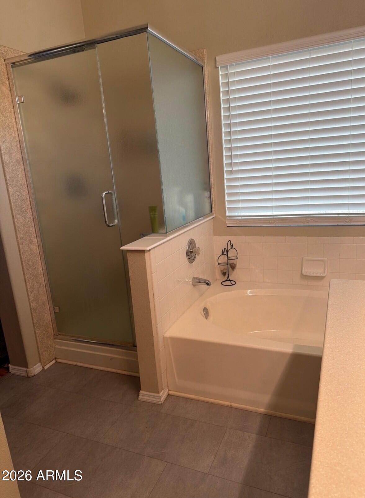4906 East Brown Road, Unit 14 Mesa, AZ 85205 - Photo 2 of 10 a bathroom with a sink and a tub